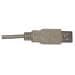 DLP Design Inc. DLP-UT1