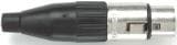 5109/POM