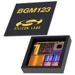 SKYWORKS BGM123N256V2