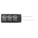 Lelon Electronics RXB100M2GBK-1020