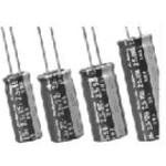 NIC Components NEDZ306Z2.7V18X40F