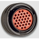 RMS Connectors MS24266R24B30SN