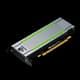 NVIDIA NVIDIA T4
