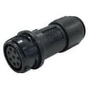 Arcolectric PXP4011/10S/5560