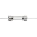 Schurter 0001.2508.G