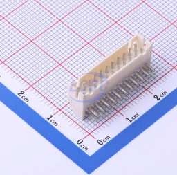 CNJMA2006WR-2X11P-9TCNJM