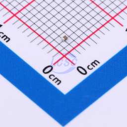 CS1005X5R334K6R3NRSamwha