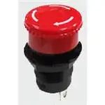 R13-930S-01-BRShin Chin