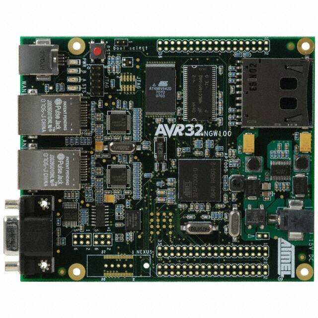 Microchip ATNGW100
